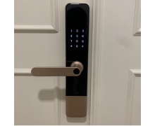 KHÓA CỬA VÂN TAY 5 CHỨC NĂNG TTLX1-H