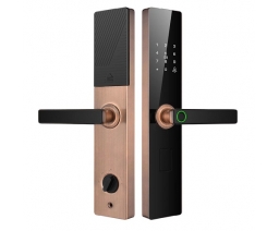 KHÓA CỬA VÂN TAY 5IN1 TL05